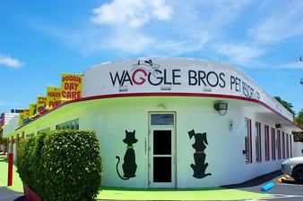 Waggle Bros Pet Resort & Spa