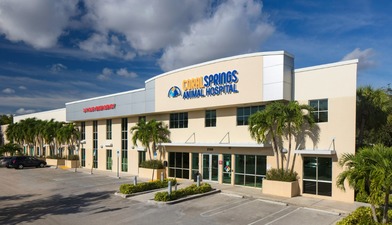 Coral Springs Animal Hospital