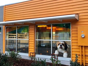 Dogtopia of Jacksonville-Southbank