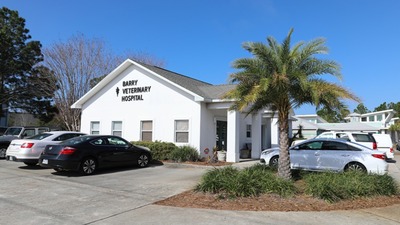 Barry Veterinary Hospital