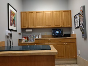 Companion Animal Hospital & Boarding Center