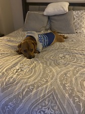 Crossroads Animal Clinic