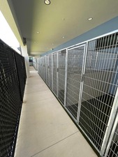 Bayside Pet Resort - North Port