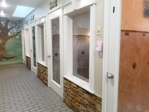 Westlake Animal Inn Pet Resort and Grooming