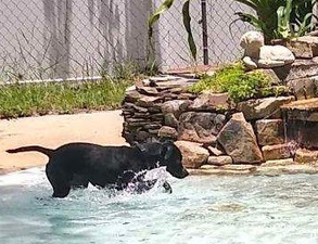 Happy Tails Pet Lodge