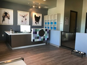 Glamour Paws Cape Coral