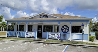 Bonita Animal Hospital and Boarding